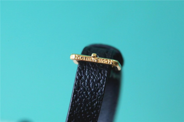 l0*is V*t0n onthego pm