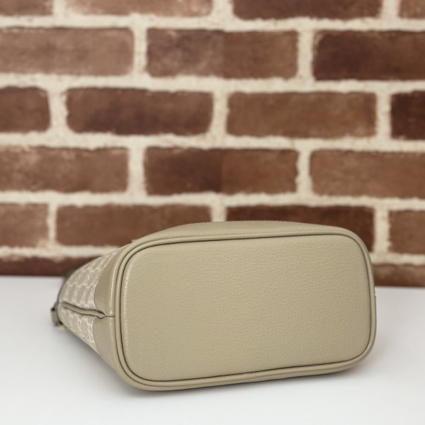 G*u*i ophidia small tote bag - 22*18*10cm