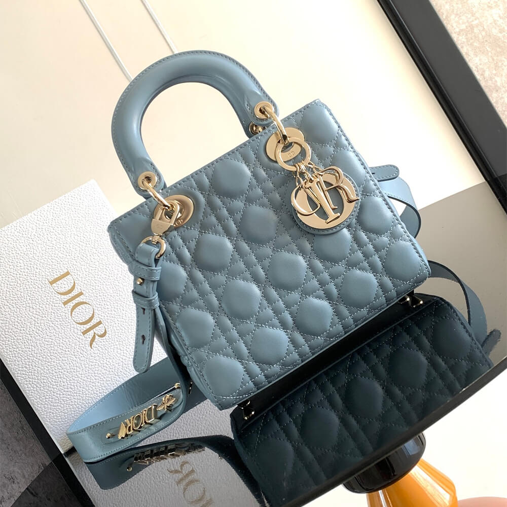 small lady D*or my abcD*or bag