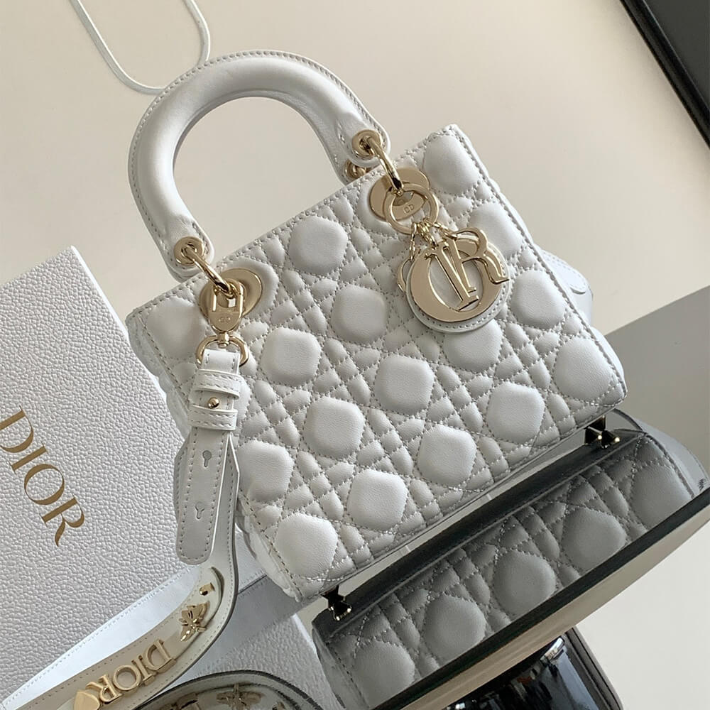 small lady D*or my abcD*or bag