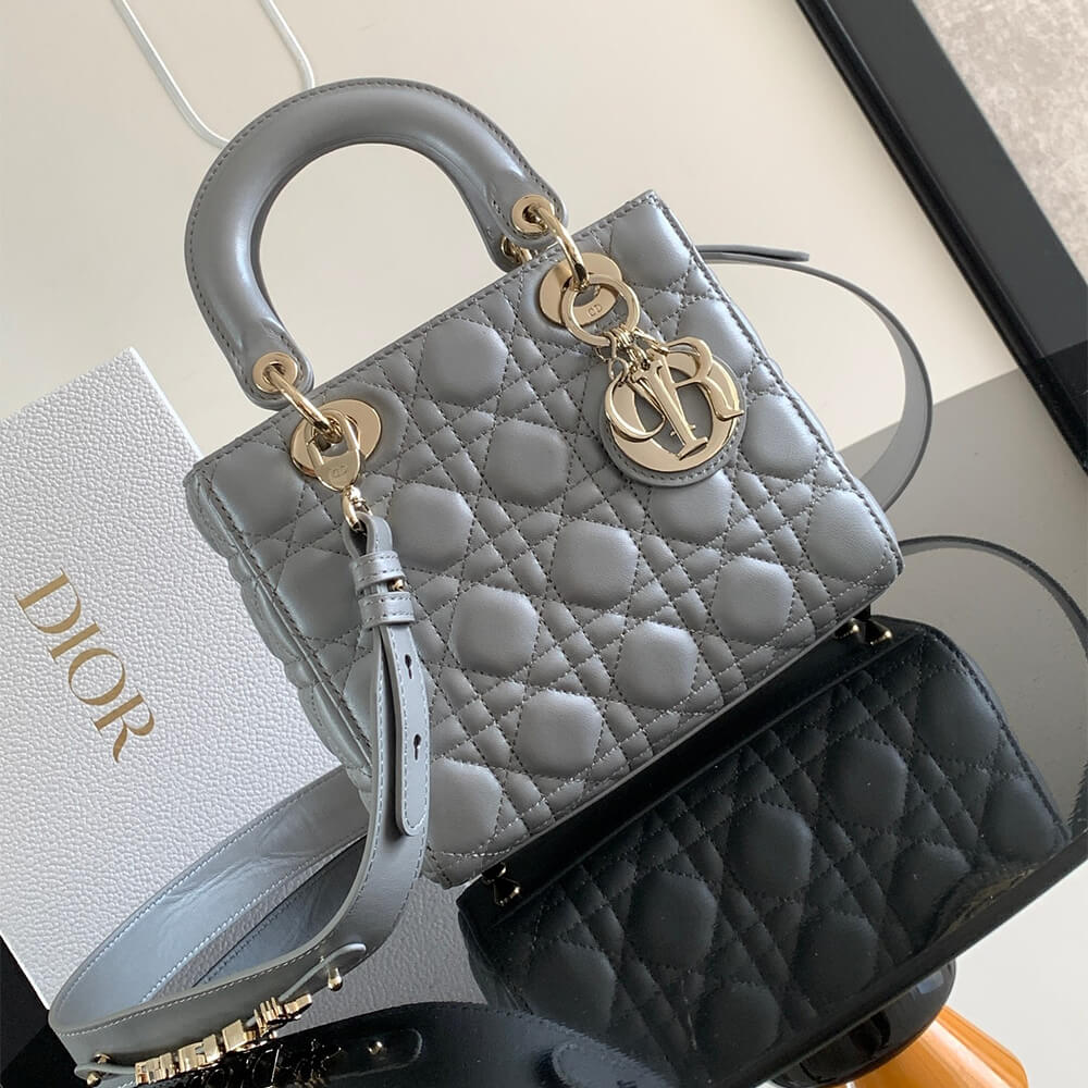 small lady D*or my abcD*or bag