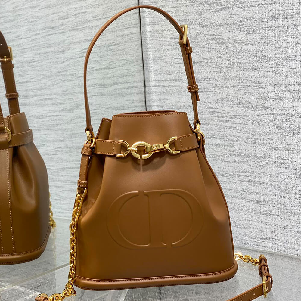 medium c’est D*or bag
