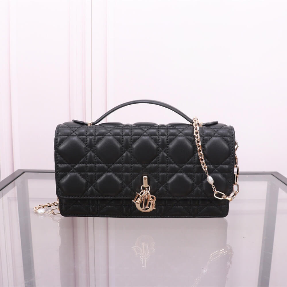 miss D*or mini bag