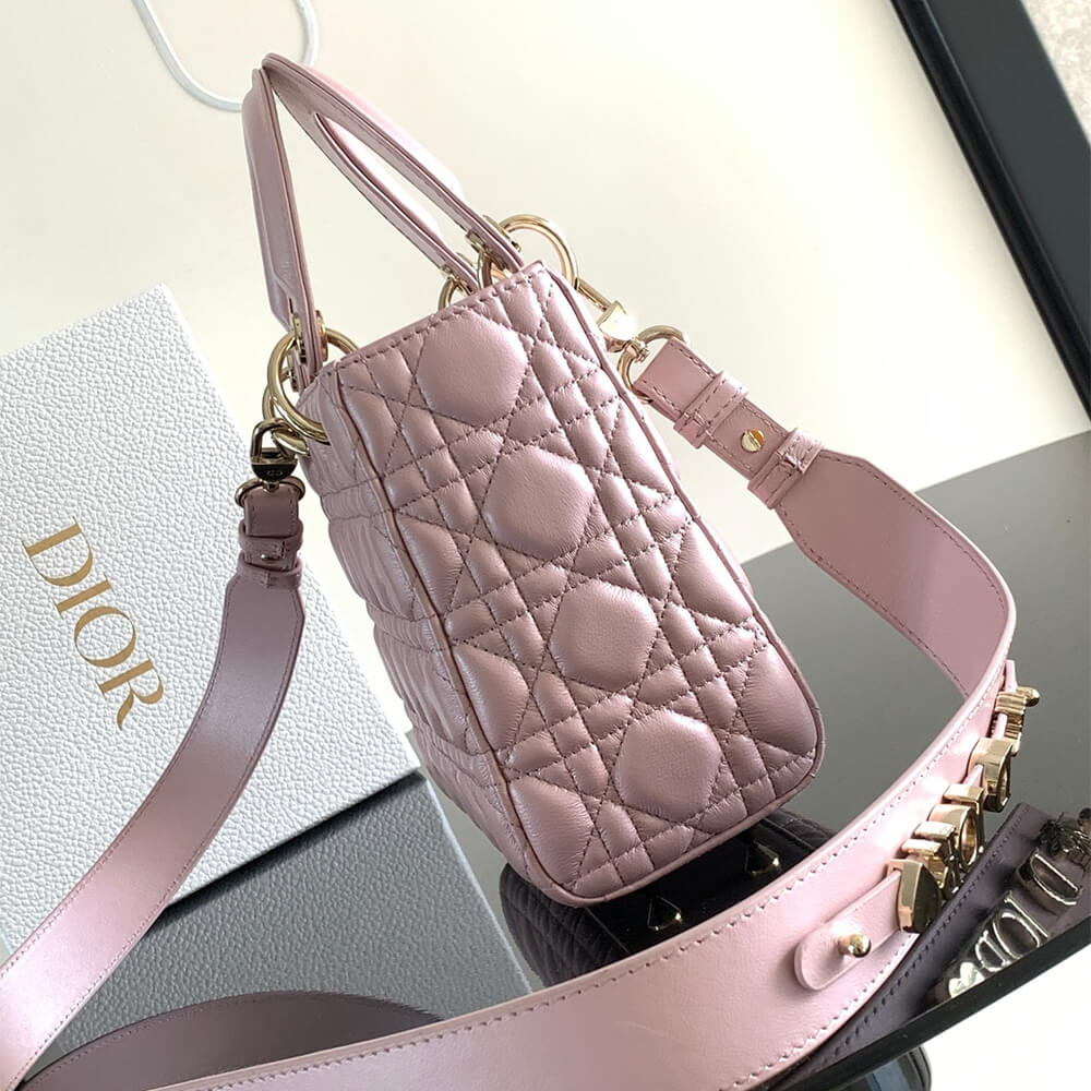 small lady D*or my abcD*or bag