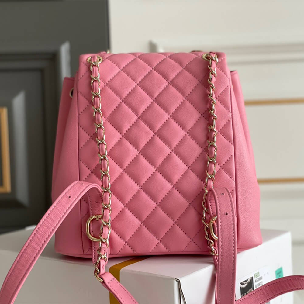 Ch*el backpack
