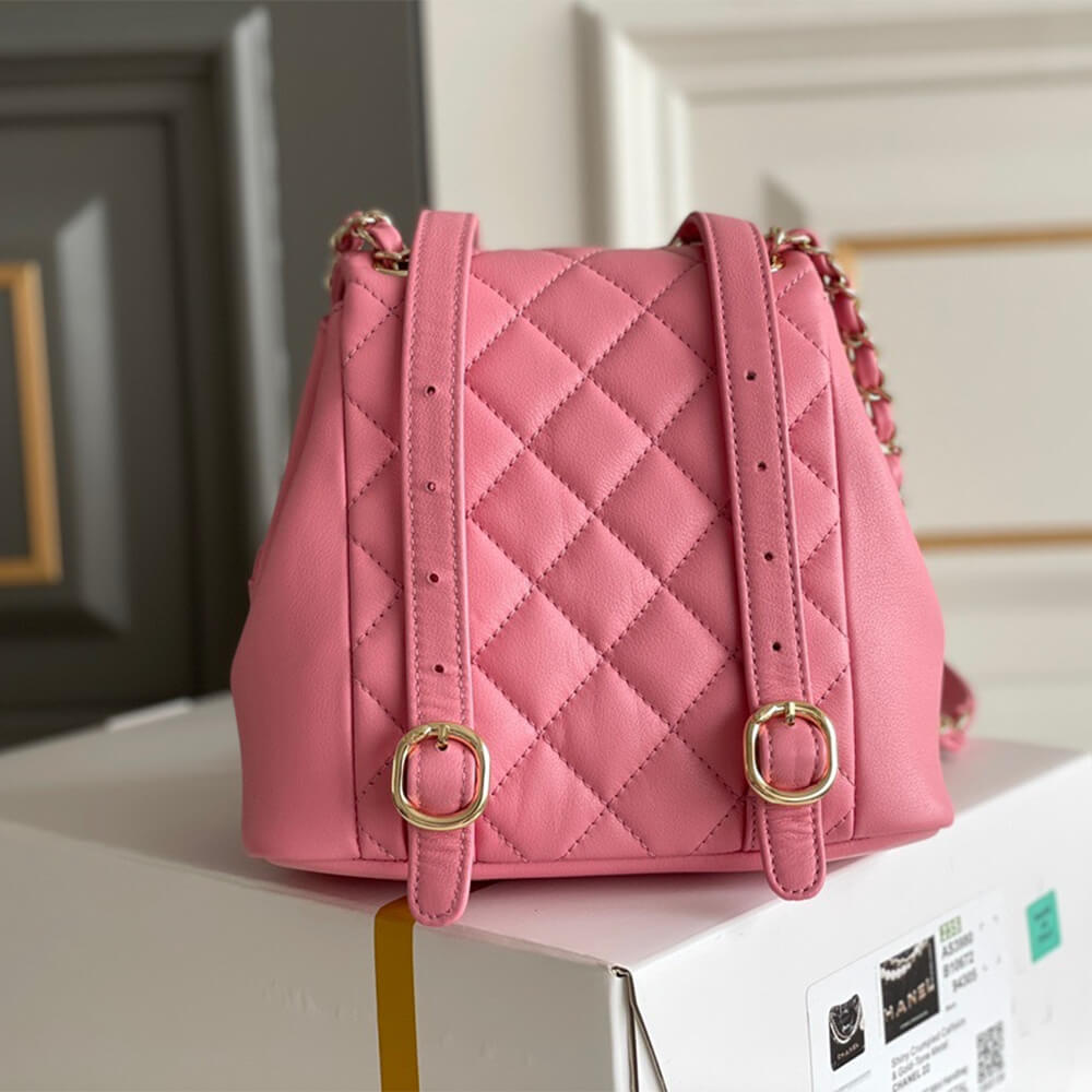 Ch*el backpack pm