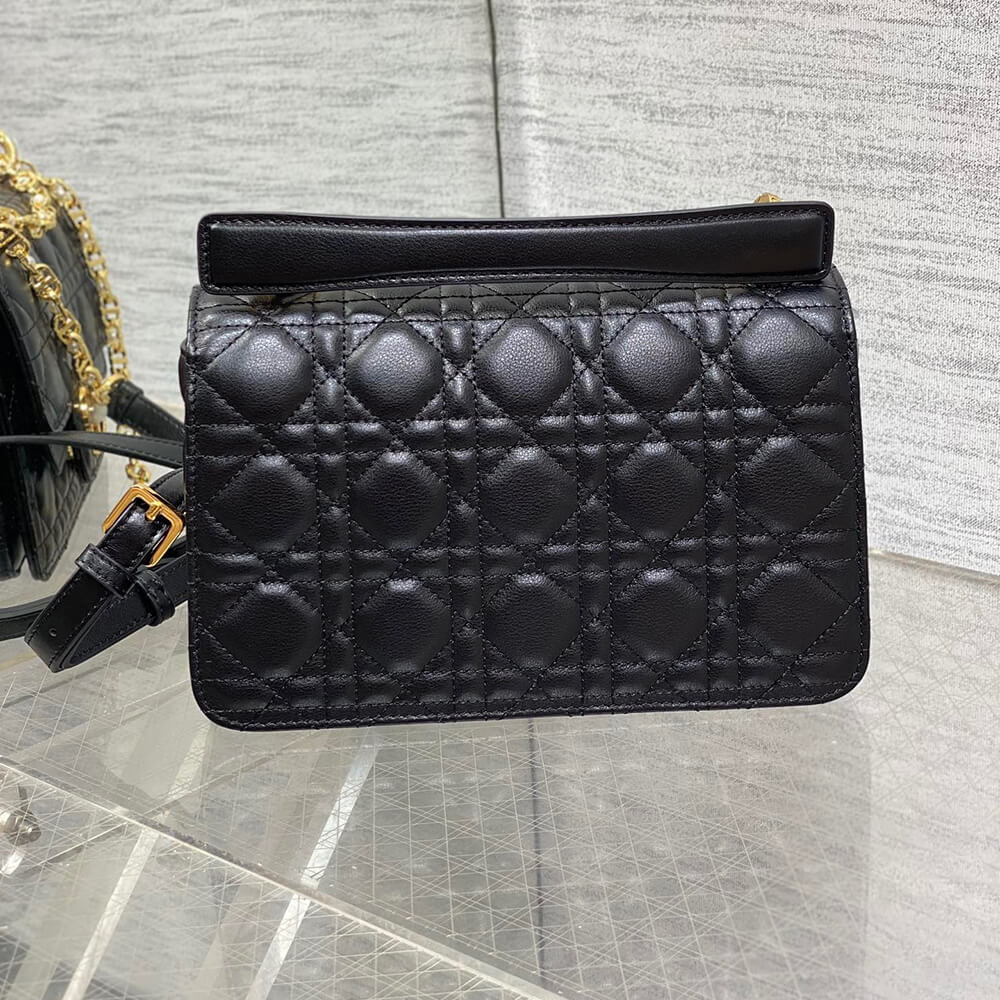 small D*or jolie top handle bag