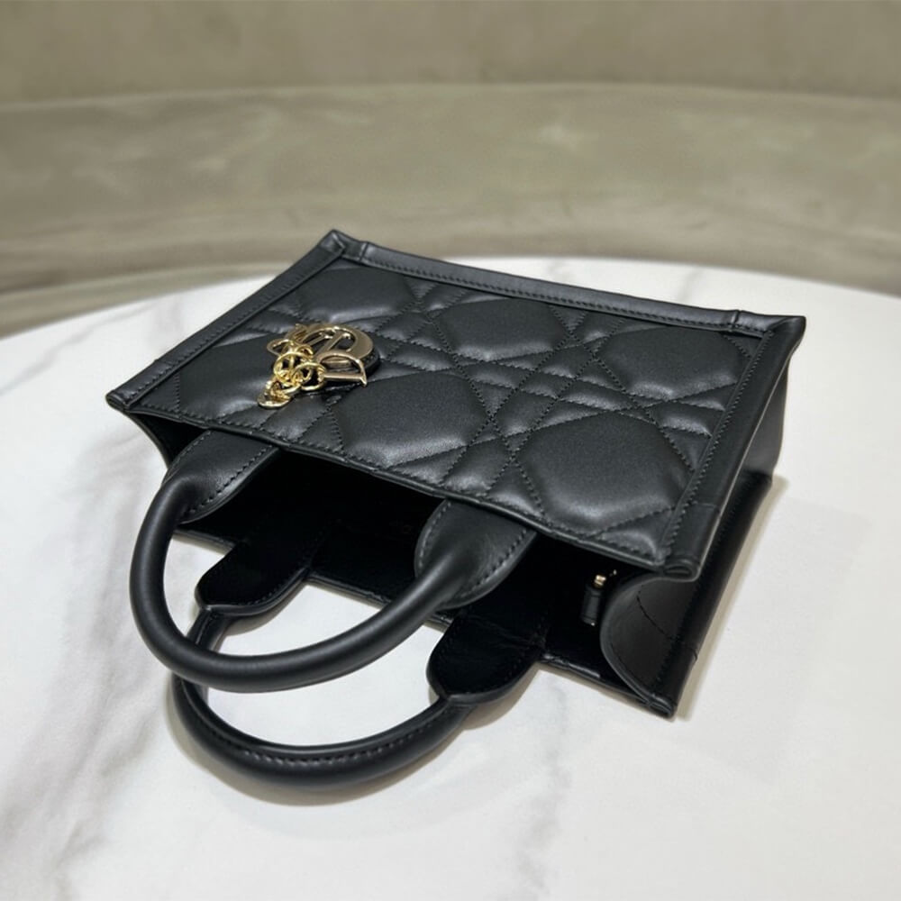 mini D*or book tote