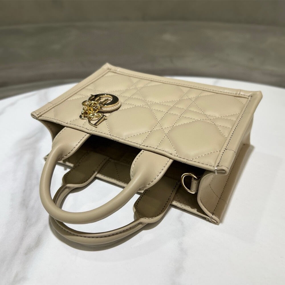 mini D*or book tote