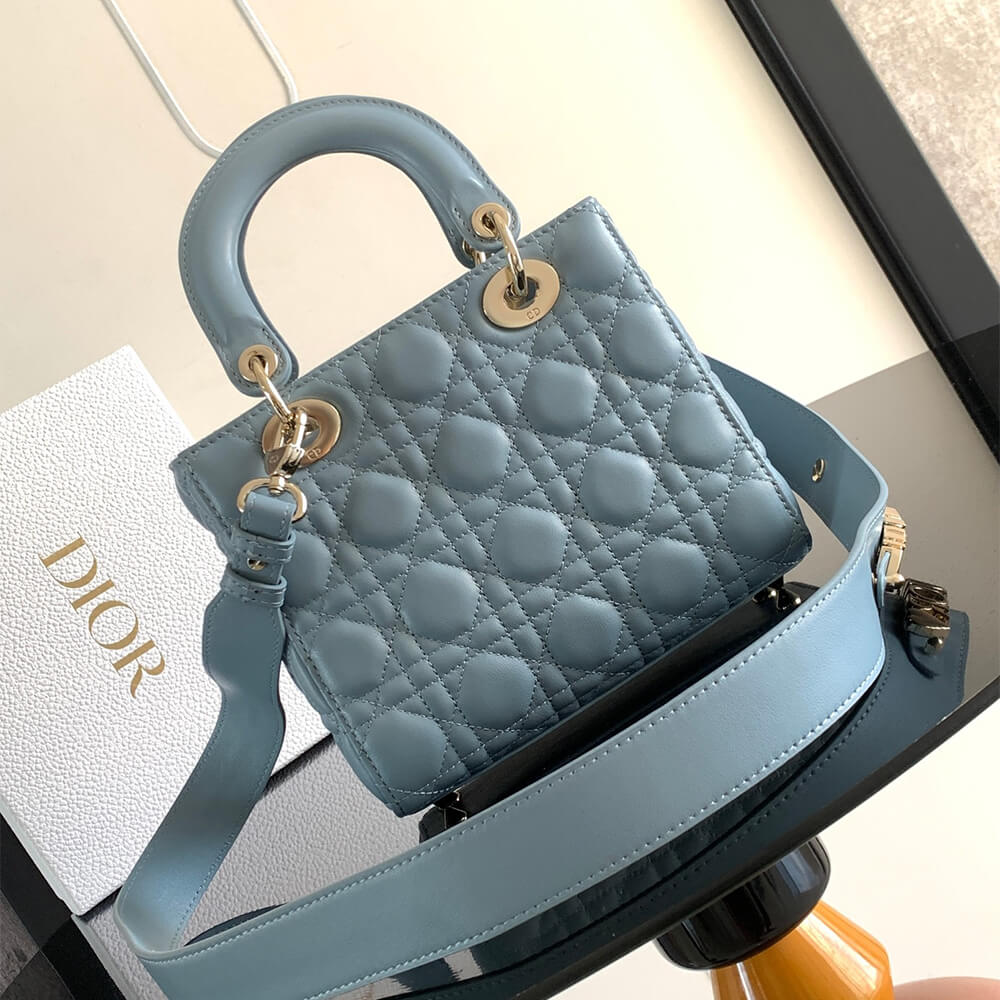 small lady D*or my abcD*or bag