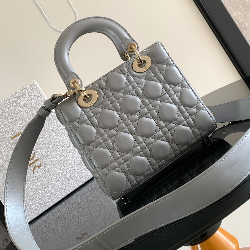 small lady D*or my abcD*or bag