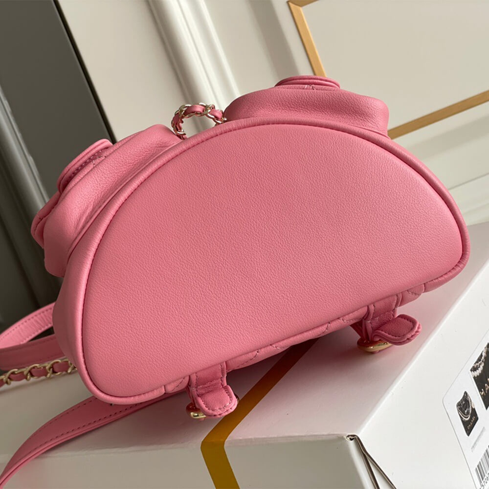 Ch*el backpack pm