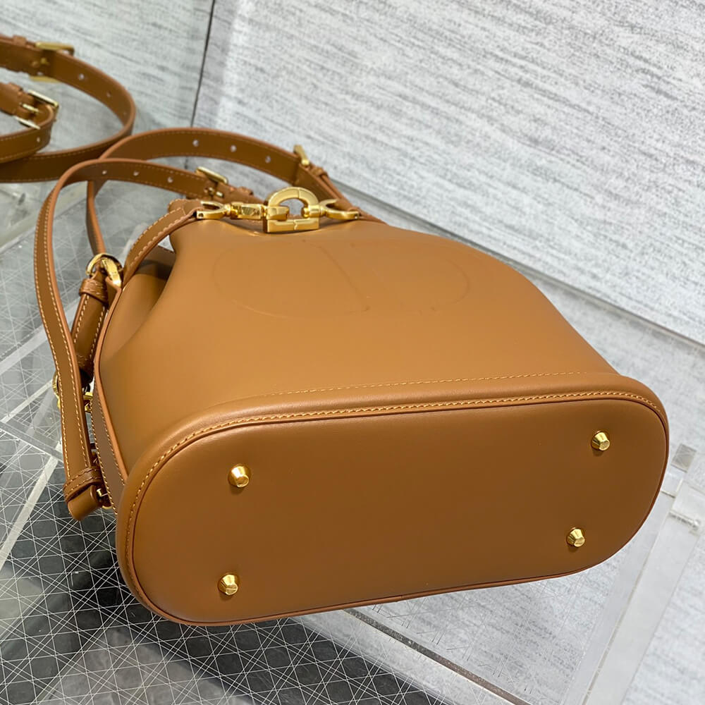 medium c’est D*or bag