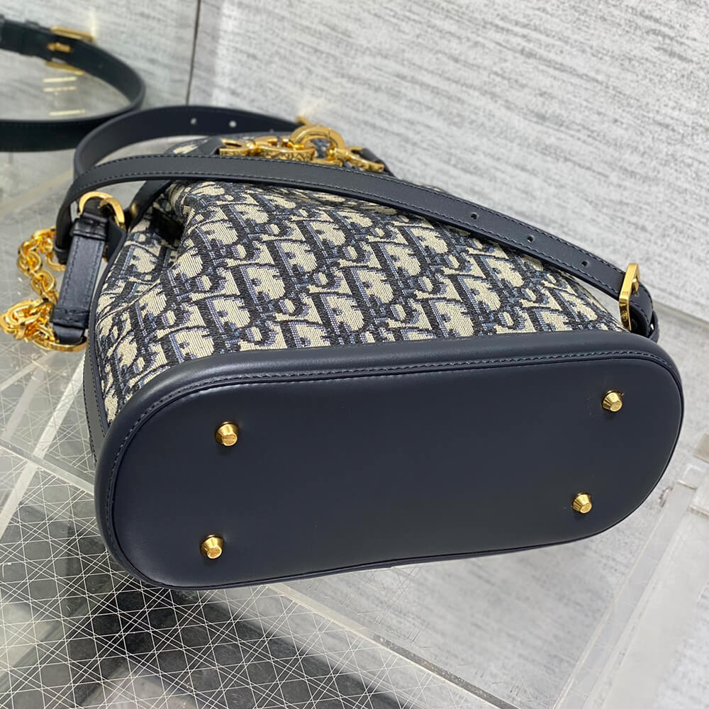 medium c’est D*or bag