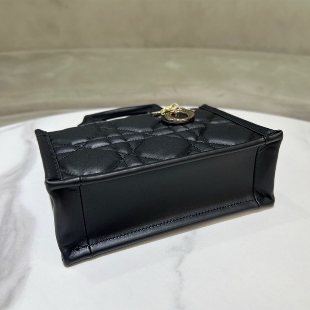 mini D*or book tote