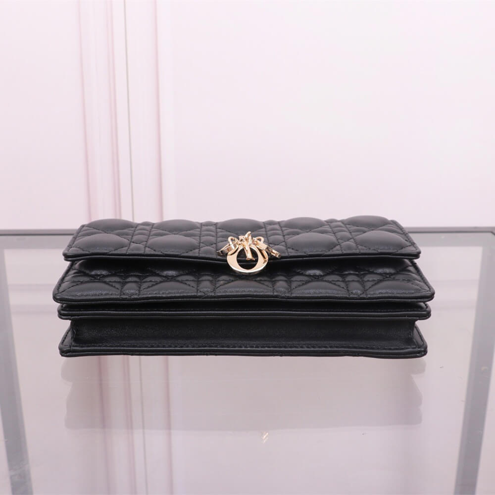 miss D*or mini bag