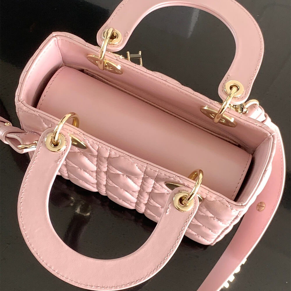 small lady D*or my abcD*or bag