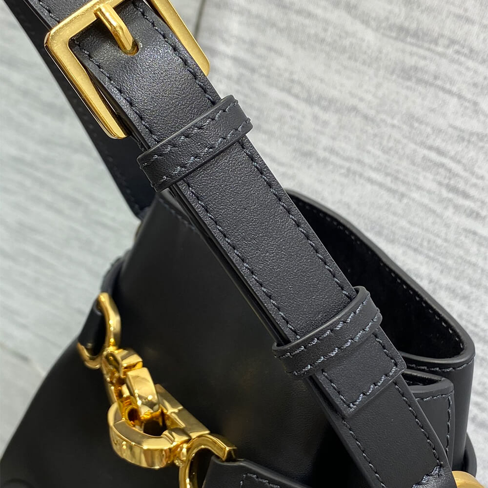 medium c’est D*or bag