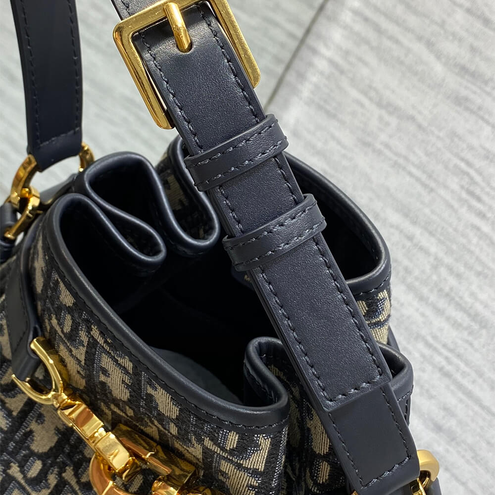 medium c’est D*or bag