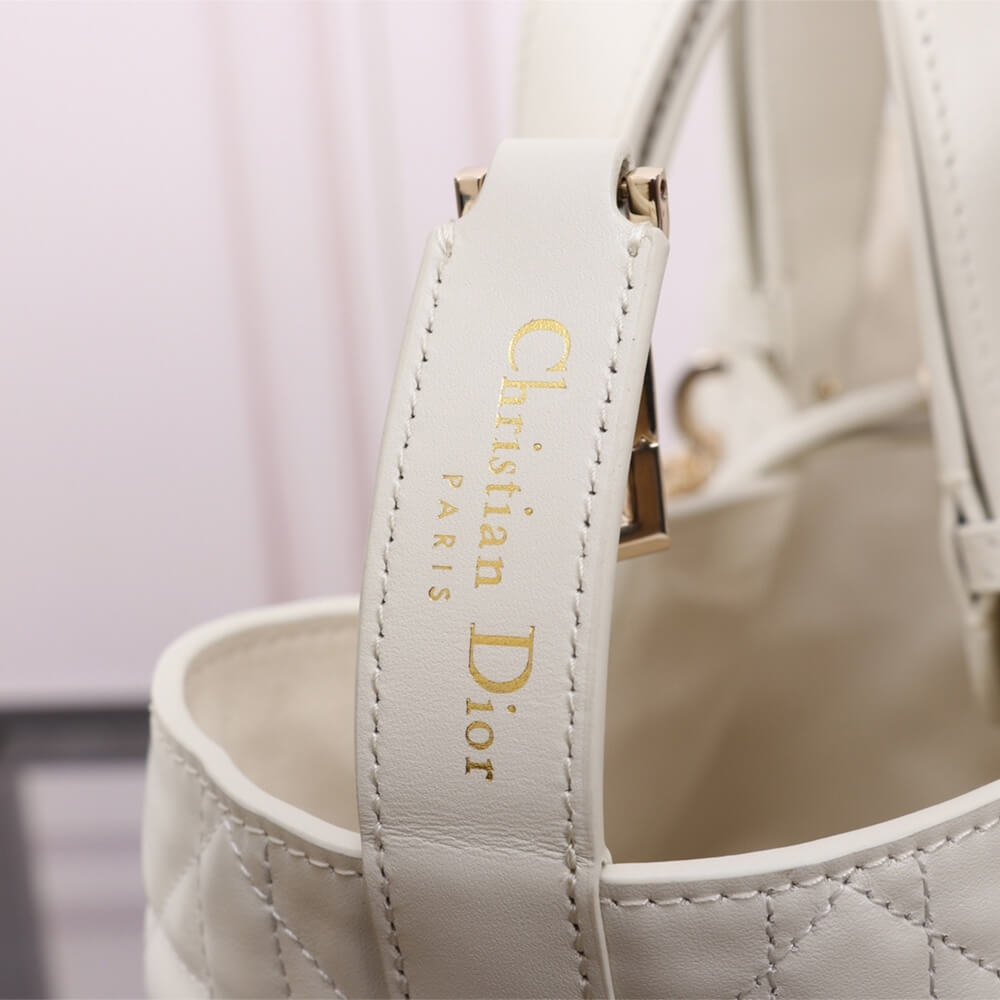 medium D*or toujours bag