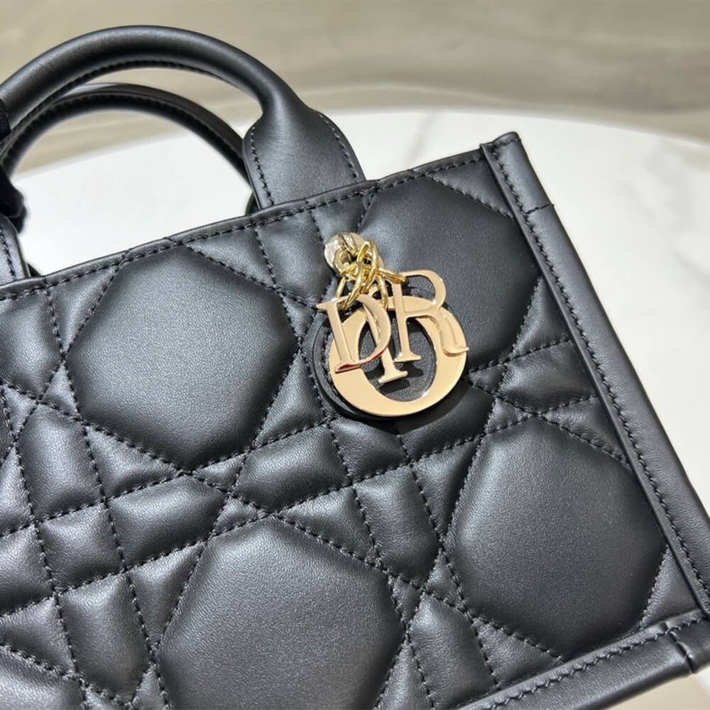 mini D*or book tote