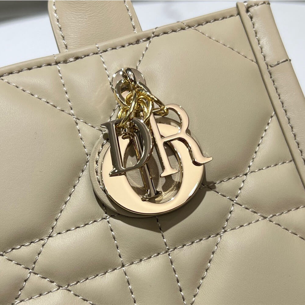 mini D*or book tote