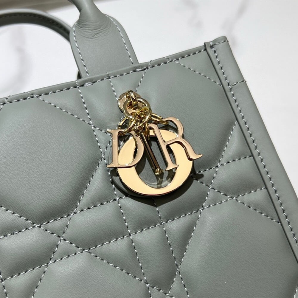 mini D*or book tote