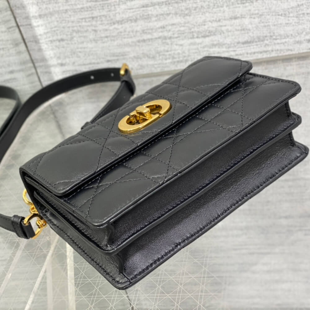 D*or miss caro mini bag