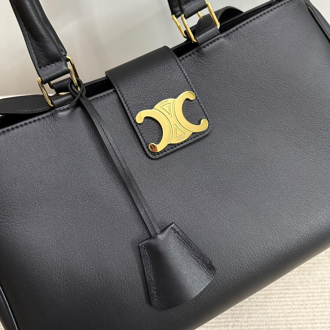ce**e medium appoline bag in S*pple calfskin