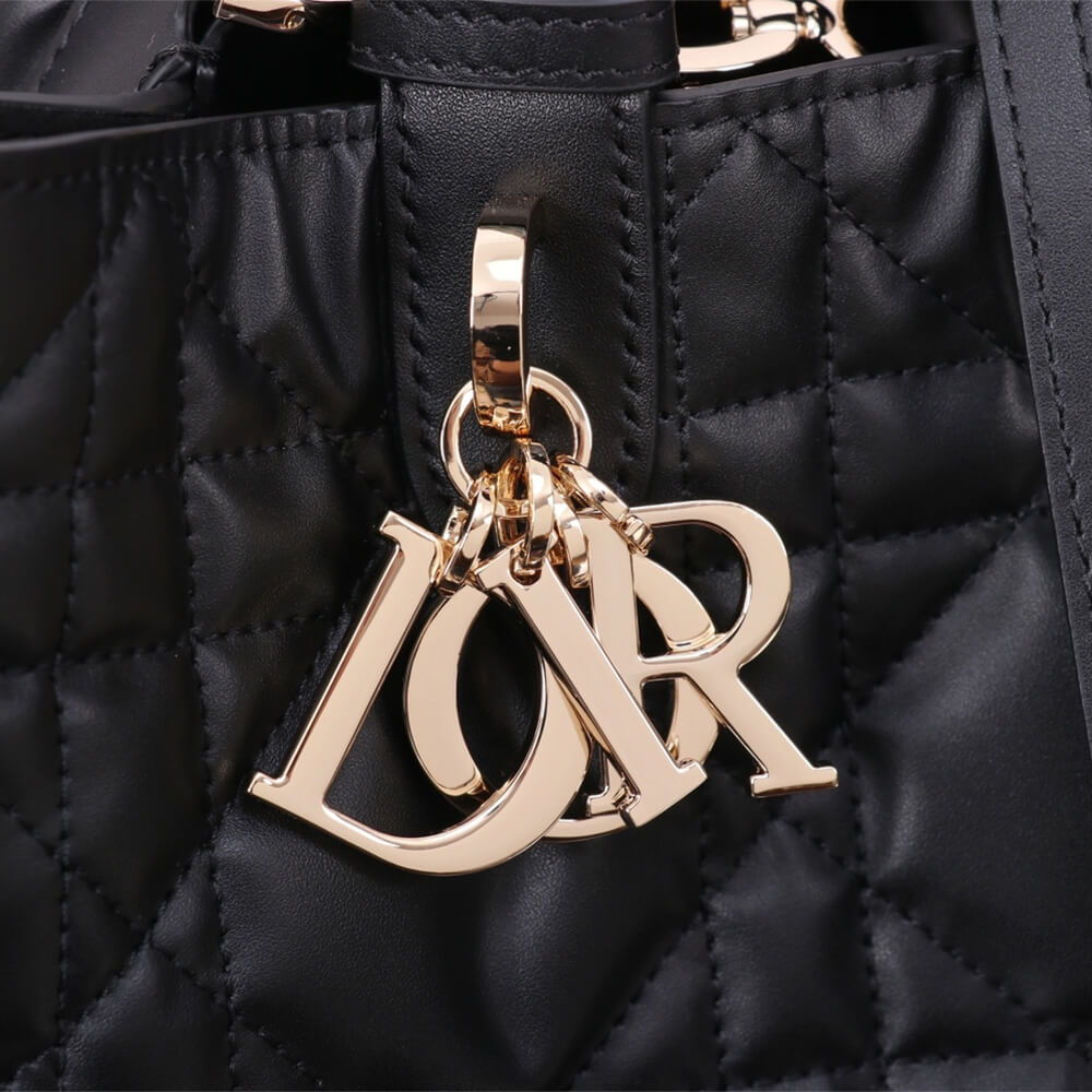 medium D*or toujours bag