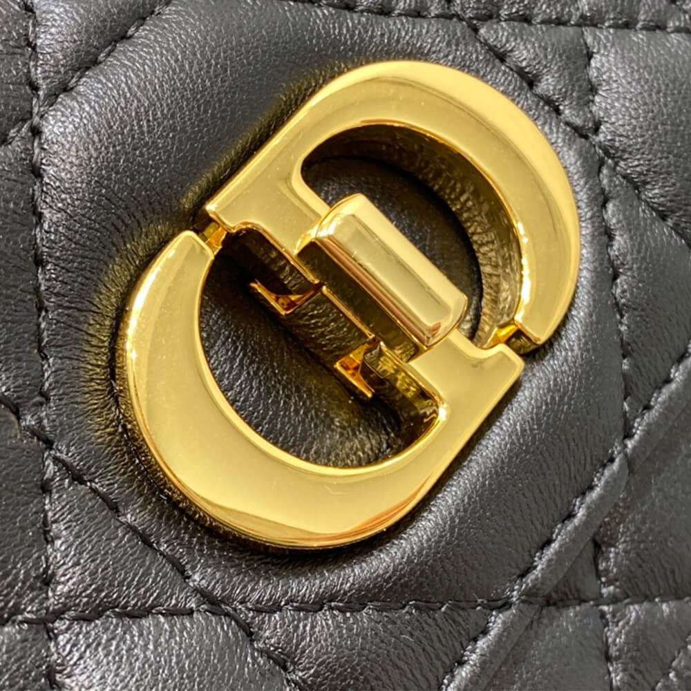 D*or miss caro mini bag