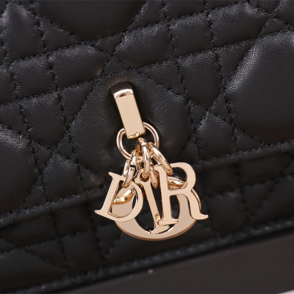 miss D*or mini bag