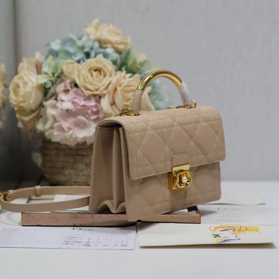 medium D*or ange bag