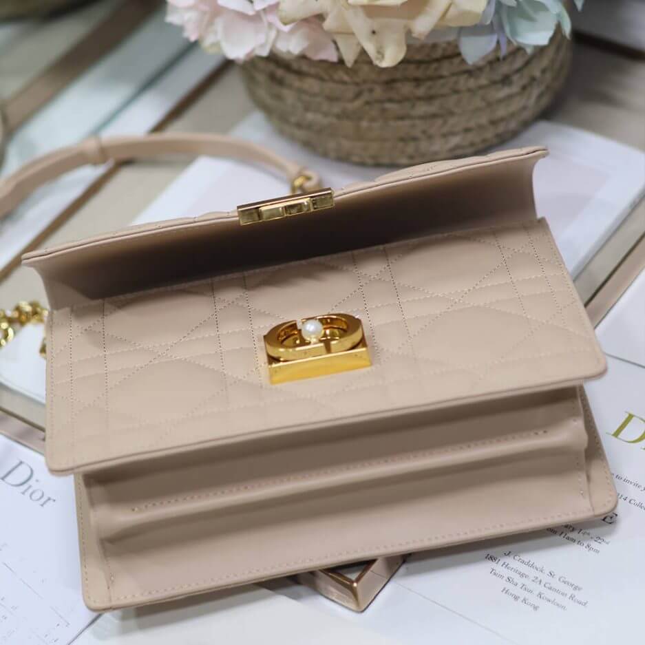 medium D*or ange bag