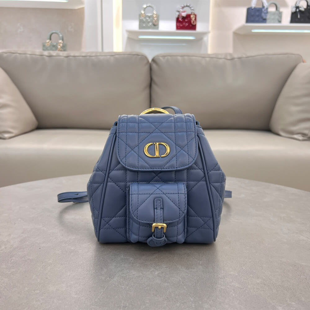 small D*or caro backpack(high-end grade)