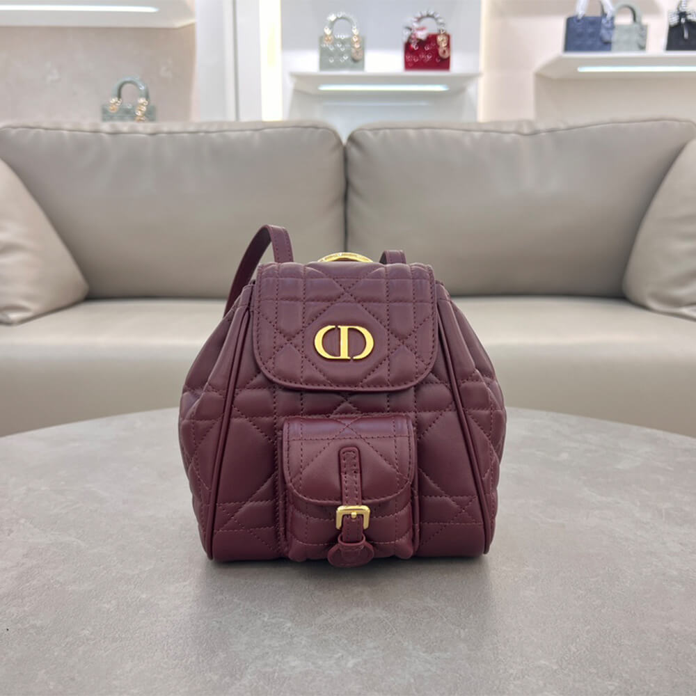 small D*or caro backpack(high-end grade)
