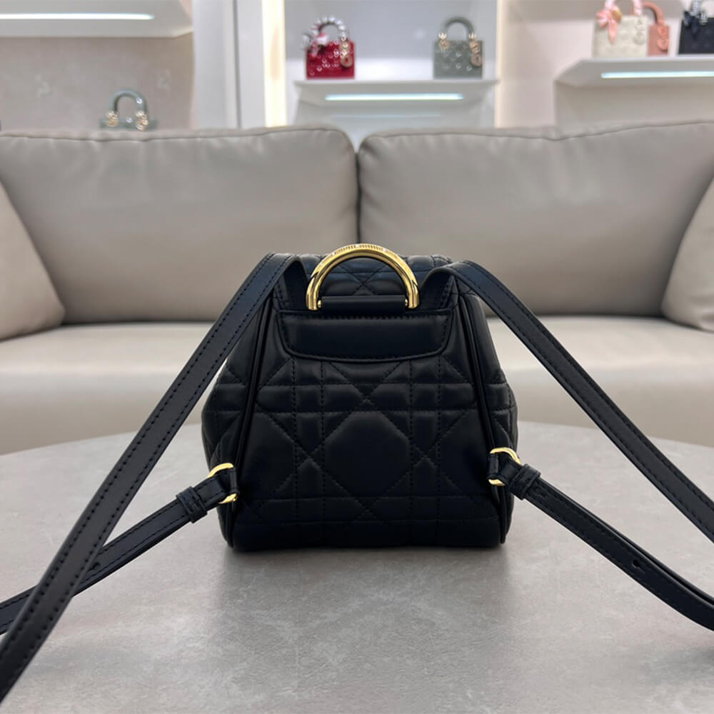 small D*or caro backpack