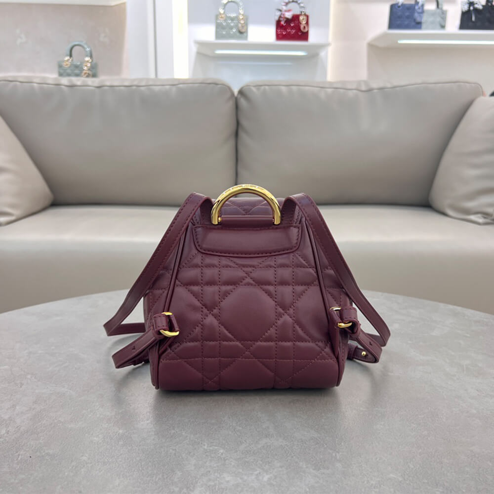 small D*or caro backpack(high-end grade)