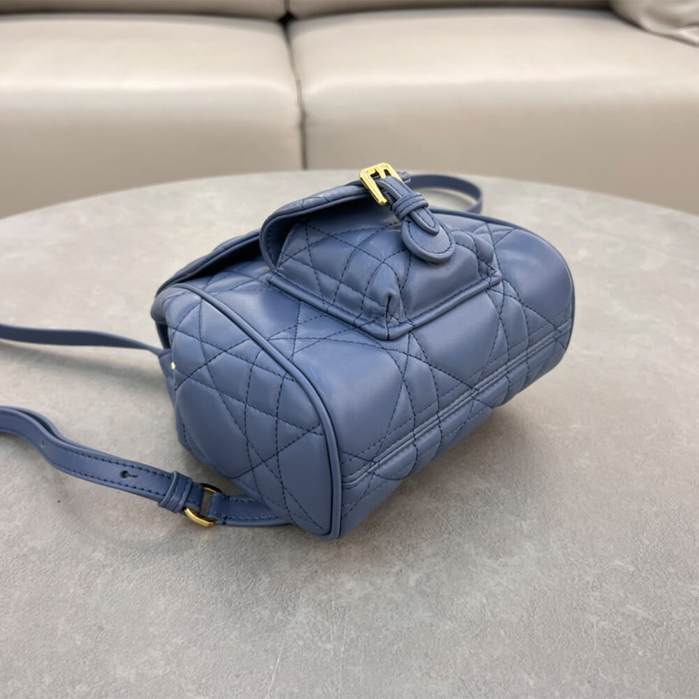 small D*or caro backpack(high-end grade)