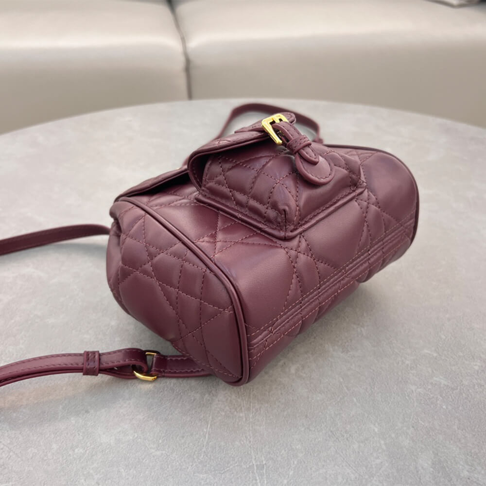 small D*or caro backpack(high-end grade)