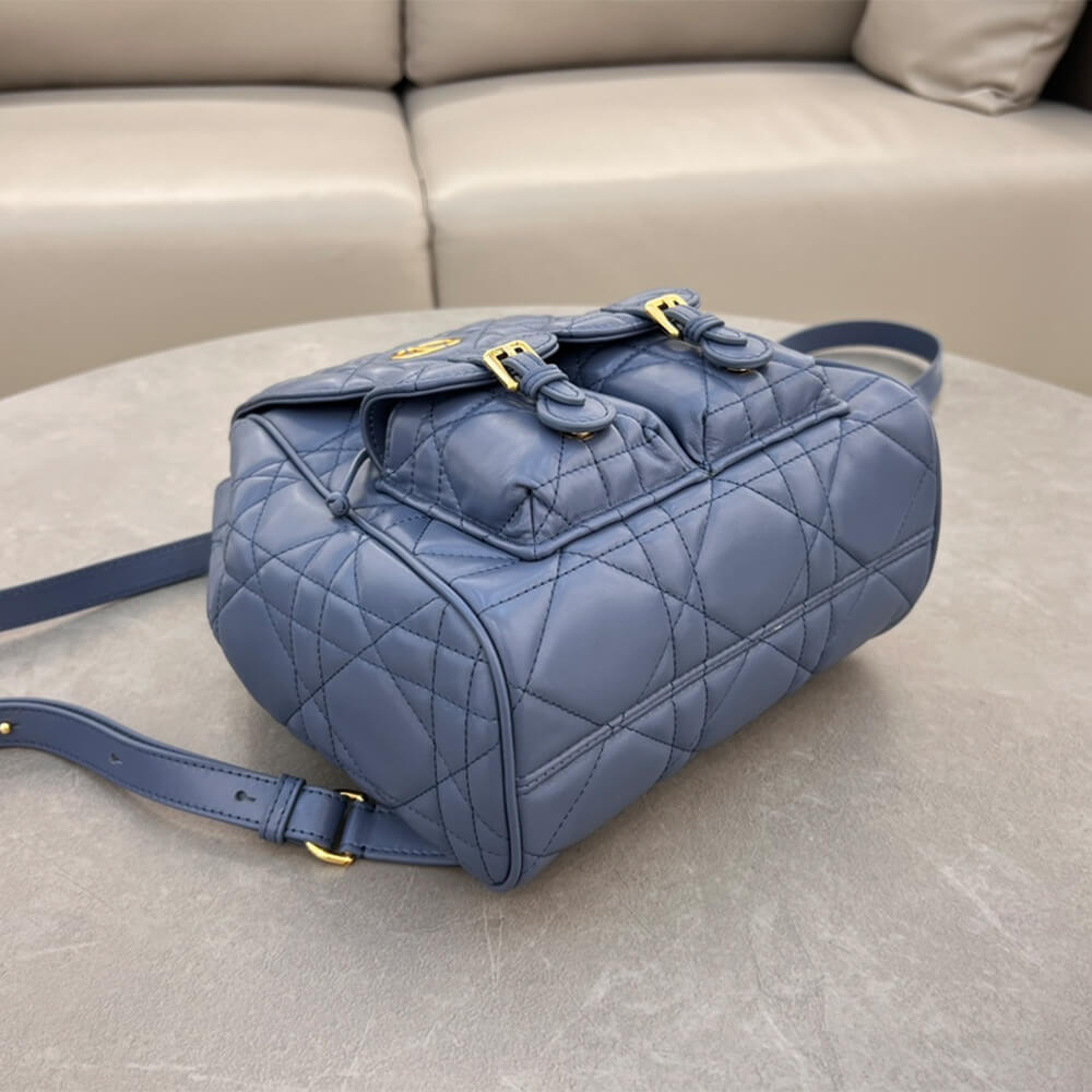 medium D*or caro backpack(high-end grade)
