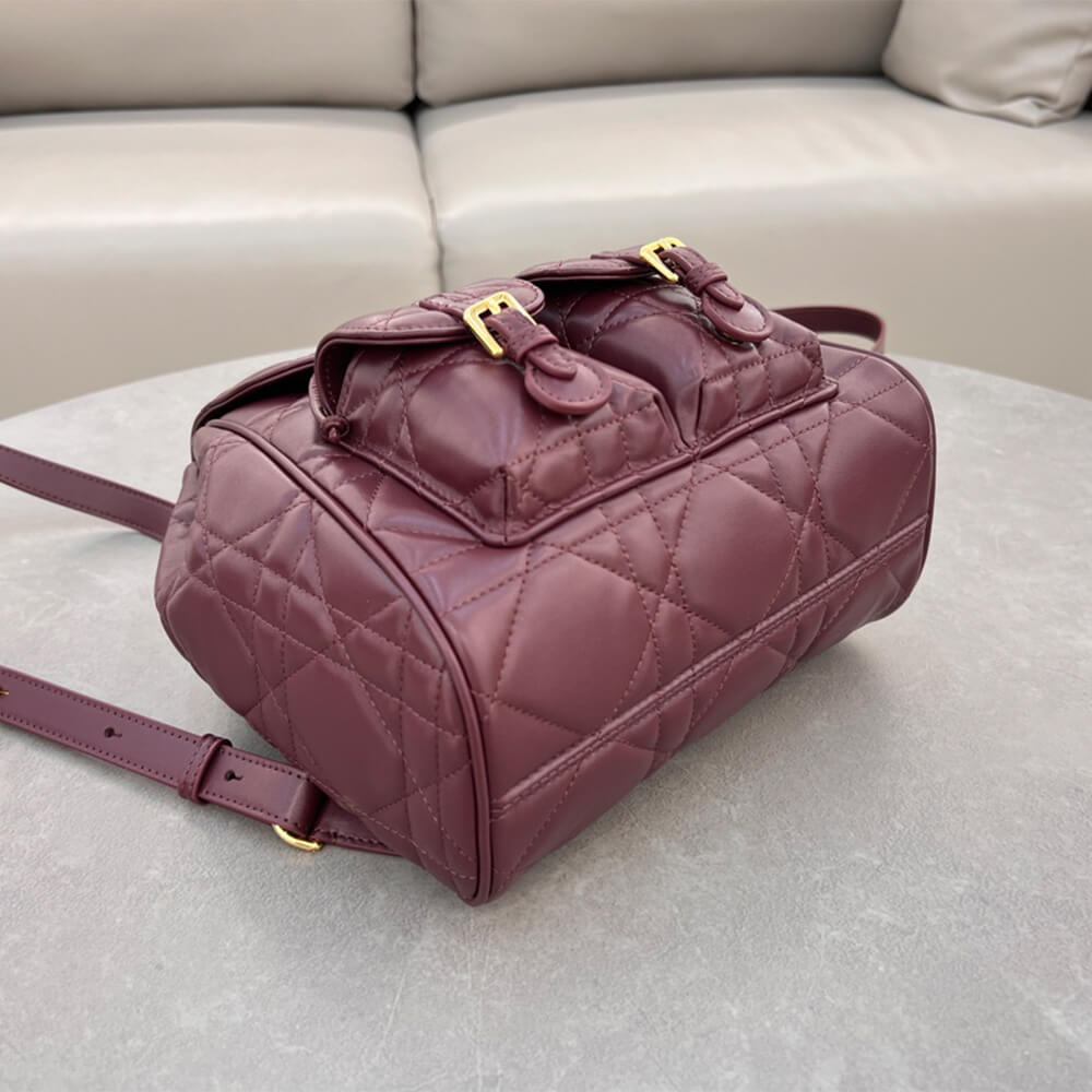 medium D*or caro backpack(high-end grade)