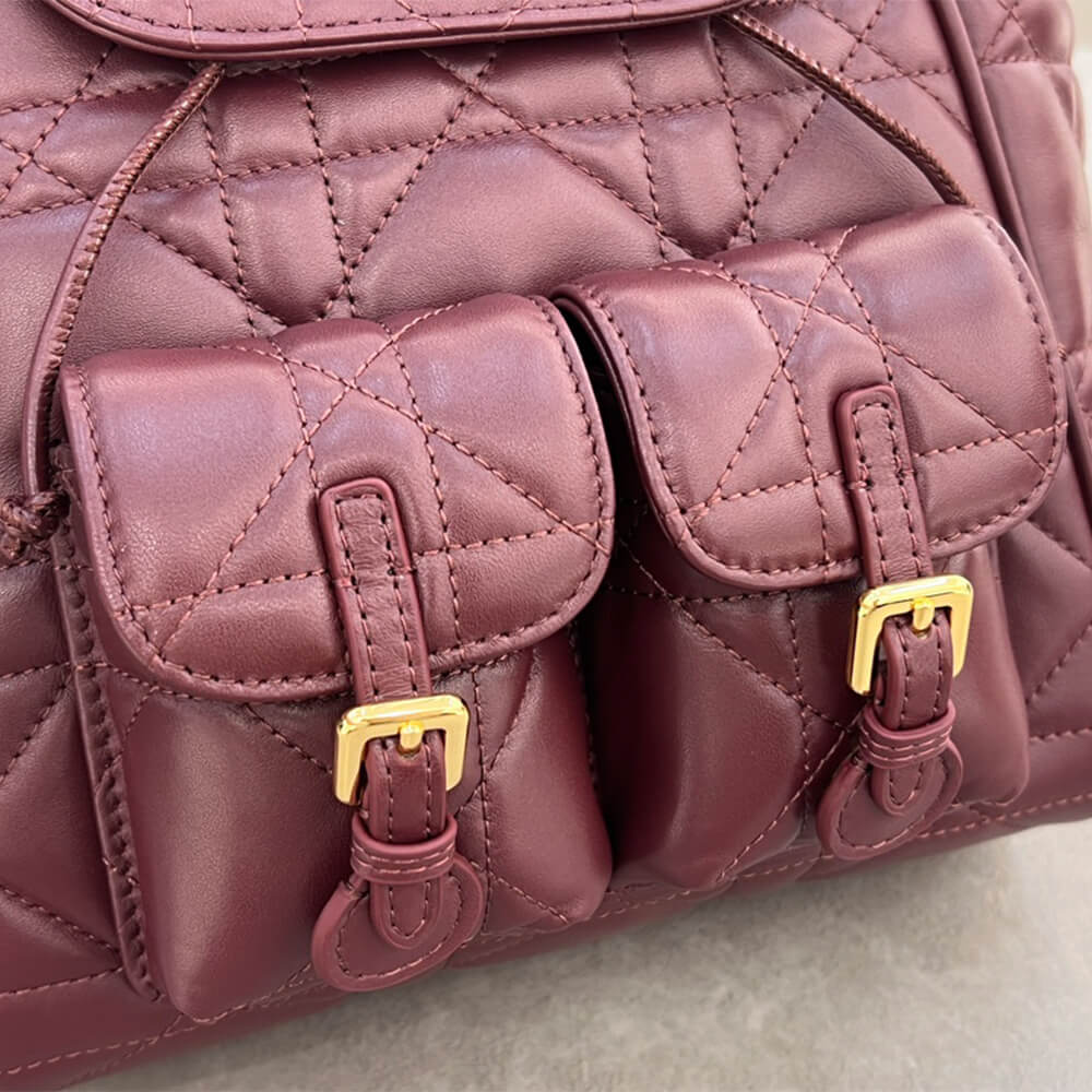 medium D*or caro backpack(high-end grade)