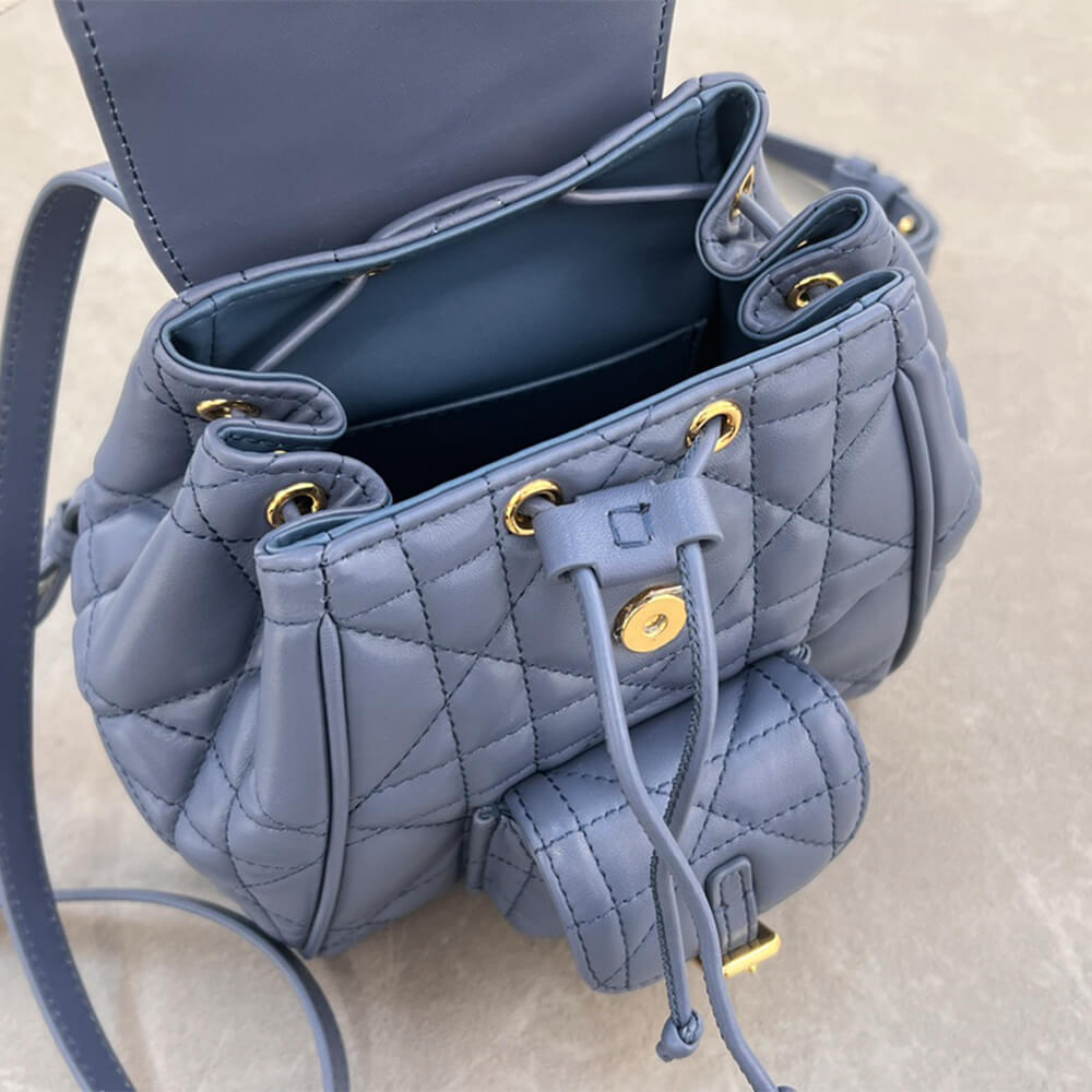 small D*or caro backpack(high-end grade)