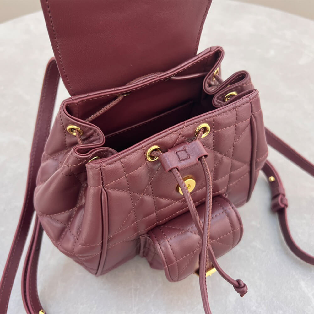 small D*or caro backpack(high-end grade)