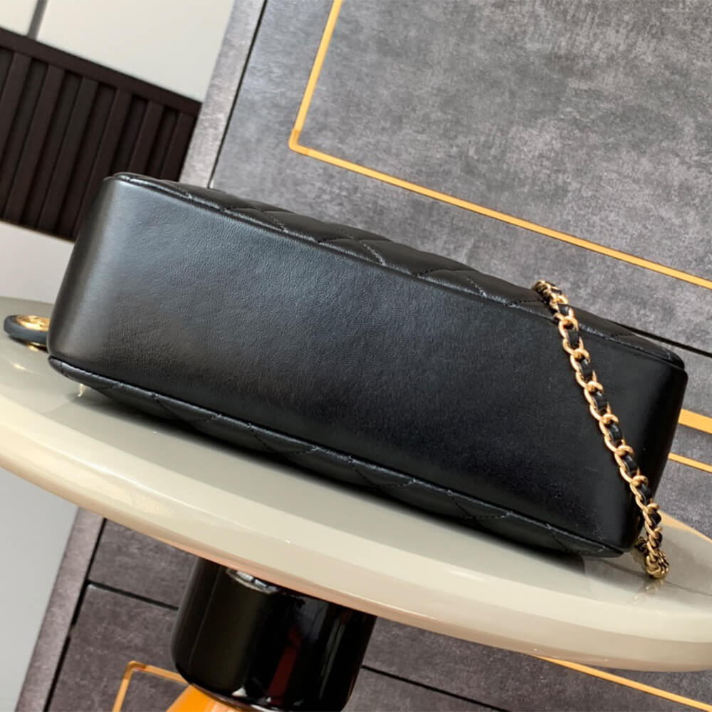Ch*el large camera case